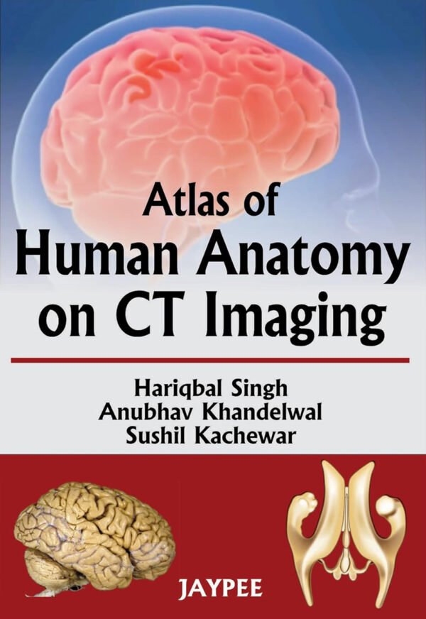 Atlas of Human Anatomy on CT Imaging